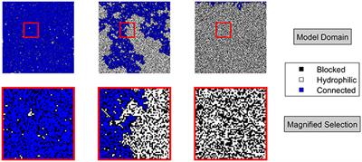 Impact of Pore-Scale Wettability on Rhizosphere Rewetting